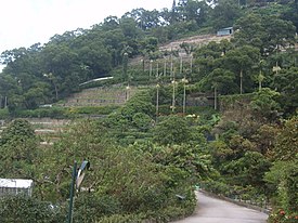 Kadoorie farm lower farm.jpg