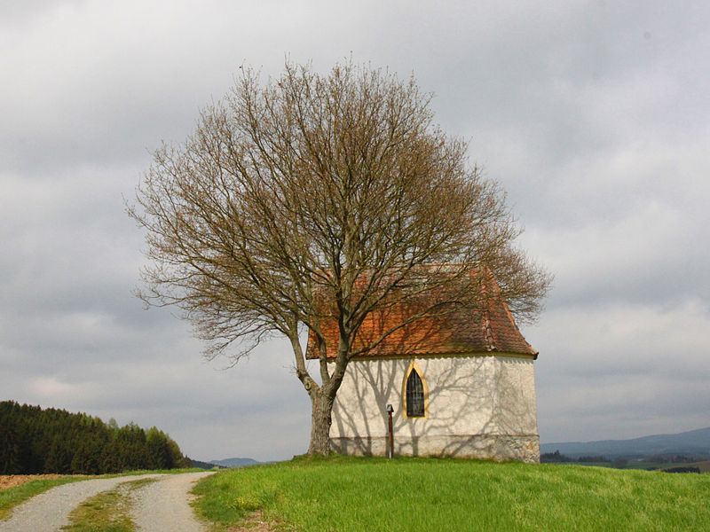 File:Kapelle Pointzelch Berg Windischeschenbach 1.JPG