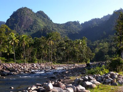 A river in Kerinci Seblat National Park