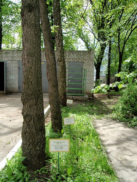 File:Kharkiv natural sanctuary Institute 12.JPG