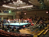 Vista di un ring di pugilato in una sala semivuota.