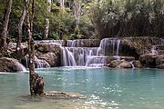 Kuang Si Falls with submerged tree in turquoise water