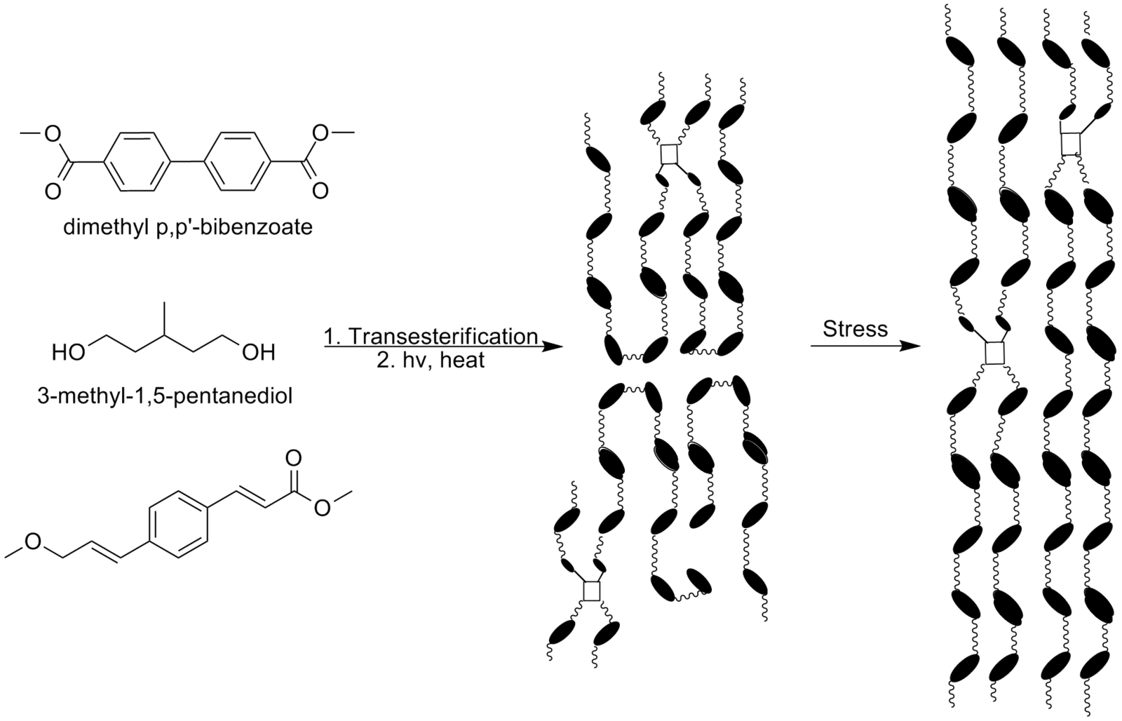 Polymers journal