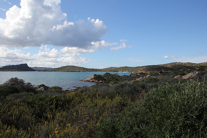 File:La Maddalena, isola di Caprera (006).jpg