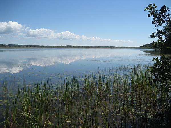 View of Lakeview Pond within Lakeview Wildlife Management Area