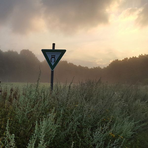 File:Landschaftsschutzgebiet im Altwarmbüchener Moor - LSG-H19.jpeg