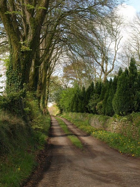 File:Lane to the Wray valley - geograph.org.uk - 1290881.jpg