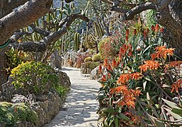 Jardin Exotique De Monaco: Présentation, Galerie dimages, Grotte de lObservatoire