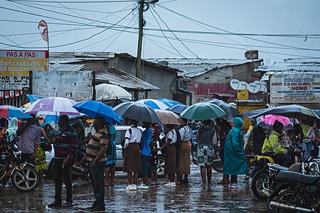 Les parapluies envahissent la rue Photographer : User:Sid Mbog