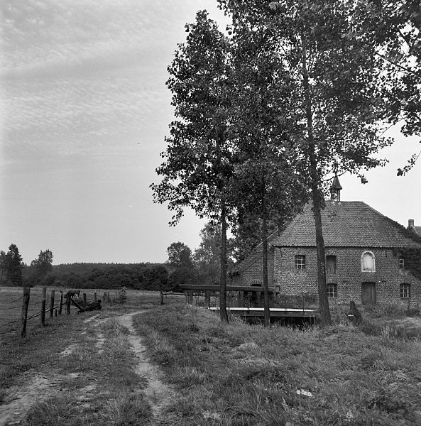 File:Leumolen in het Leudal, aanzicht - Haelen - 20099819 - RCE.jpg