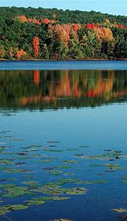 Thumbnail for Little Cedar Lake (Wisconsin)