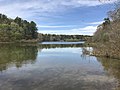 Thumbnail for Little Long Pond (Plymouth, Massachusetts)