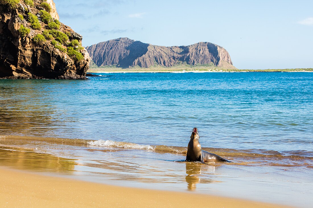 Galápagos Islands