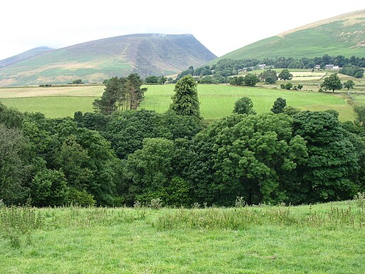 Looking across the Greta valley - geograph.org.uk - 3592260