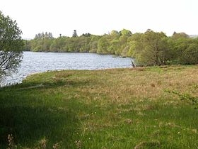 Illustrasjonsbilde av artikkelen Lough Arrow