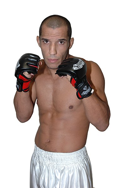 File:Luiz Azeredo.JPG