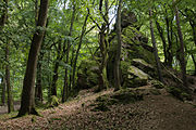 Deutsch: Das Naturdenkmal Graue Stein bei Georgenborn, Naturpark Rhein-Taunus