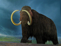 Resultado de imagen de mamut lanudo