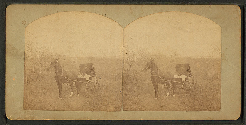 File:Man in a buggy. Spirit Lake, Iowa, by Frank F. Roblin.jpg