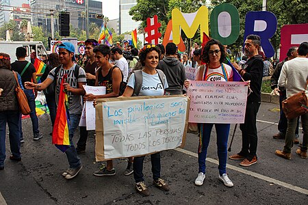 Tập_tin:Marcha_TodosSomosFamilia_-_Ciudad_de_México_-_24.jpg