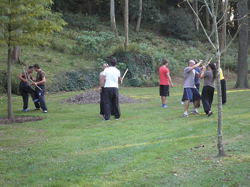 File:Martial arts donostia.jpg