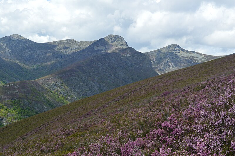 File:Montes de Burbia 3.jpg