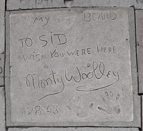 Hand and beard print at Grauman's Chinese Theatre.