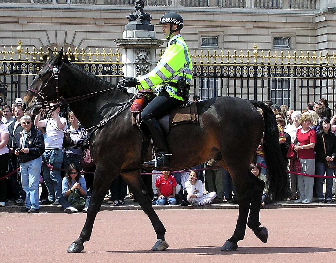 File:Mounted.police.buckingham.palace.arp.jpg