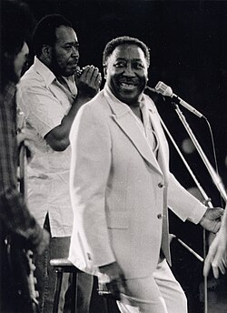 Muddy Waters: Életpályája, Érdekességek, Diszkográfia