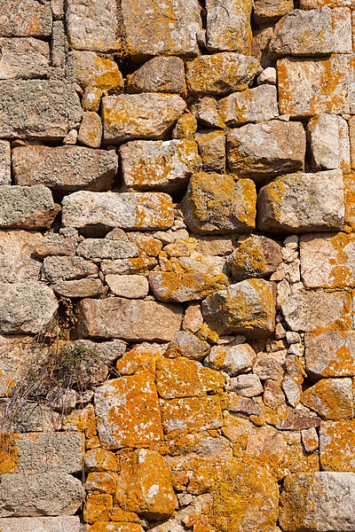 File:Muro do castelo de Vilanova dos Infantes - Celanova - Galiza VI.18.jpg