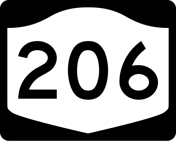 File:NY-206.svg