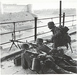 חיילים אסטונים בשורות הוורמאכט בגדה המערבית של נהר נארווה, כאשר ממולם עומד מבצר איוואנגורוד.