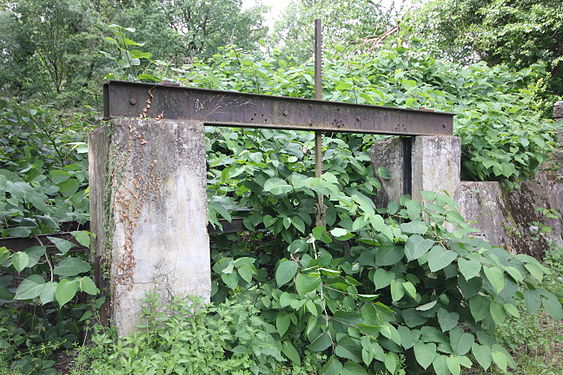 Nature takes over an old lock.