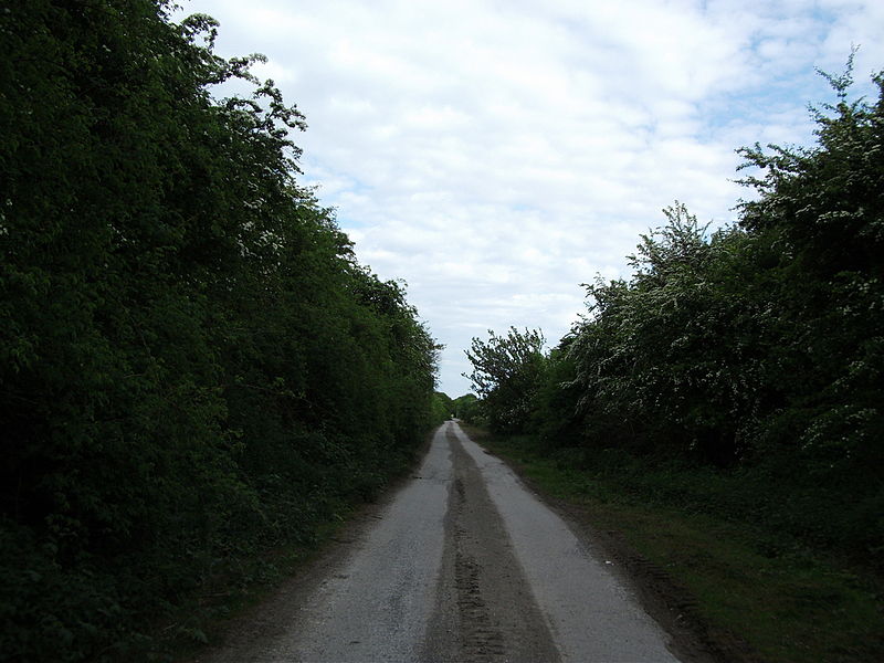 File:Near Little Weighton cutting 3.jpg