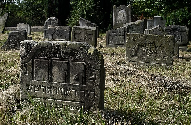 File:New Jewish cemetery Skierniewice IMGP7251.jpg