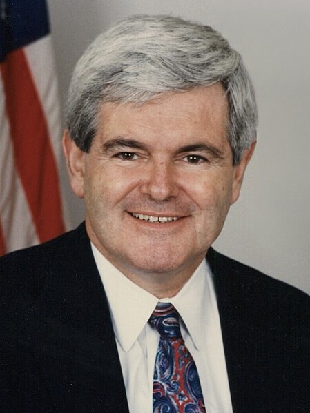 Image: Newt Gingrich Crop