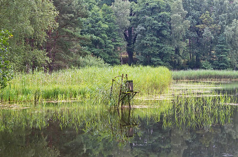 File:Niederlausitz 08-13 img19 Naturpark Schlaubetal.jpg