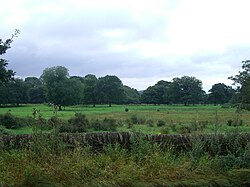 The grounds from Norton Lane, they have well established oak trees Oakes Park grounds.JPG