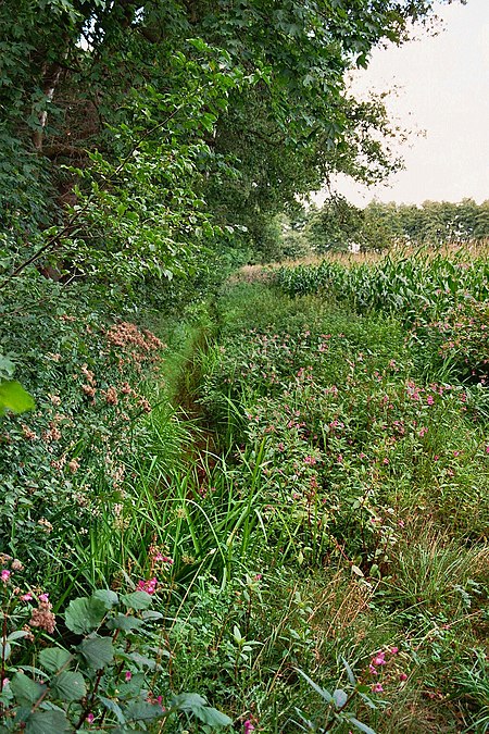 Obersteinbeck Meerbecke 01