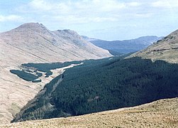 On the north ridge of Beinn Lagan - geograph.org.uk - 88384.jpg