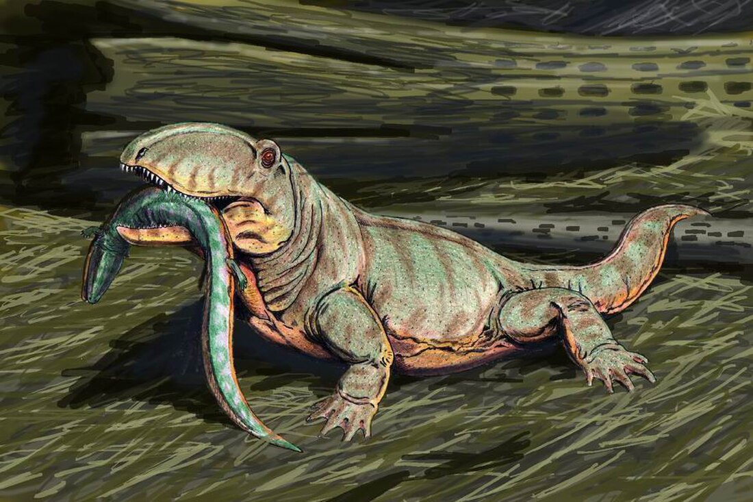 Ophiacodon