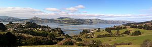 Otago Harbour and Roseneath