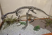 Nanosaurus agilis Othnielosaurus fruita 1.jpg