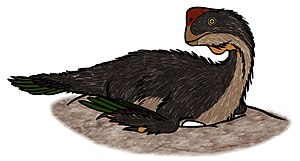 Oviraptor on nest 037.JPG