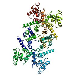 PBB Protein DMD-image.jpg