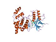 PDB 1pmn EBI.jpg