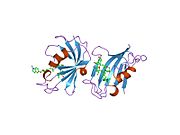 PDB 1qpl EBI.jpg