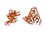 PDB 2bxh EBI.png