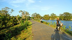 Road connecting واوونیا and Pandarikulam