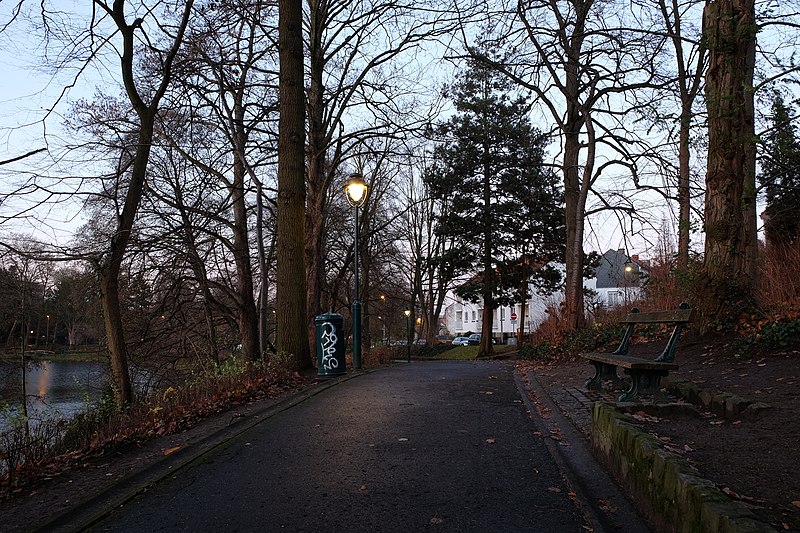 File:Parc Ten Reuken, looking North from North-East of Etang Tenreuken on an evening in December (street lights are turned on).jpg